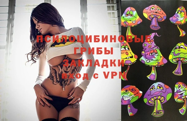ПСИЛОЦИБИНОВЫЕ ГРИБЫ Инта
