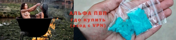 ПСИЛОЦИБИНОВЫЕ ГРИБЫ Инта
