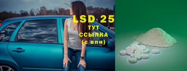 ПСИЛОЦИБИНОВЫЕ ГРИБЫ Инта