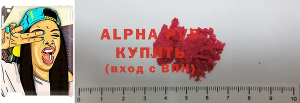ПСИЛОЦИБИНОВЫЕ ГРИБЫ Инта