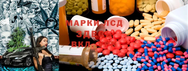 ГАЛЛЮЦИНОГЕННЫЕ ГРИБЫ Инсар