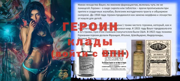 ГАЛЛЮЦИНОГЕННЫЕ ГРИБЫ Инсар