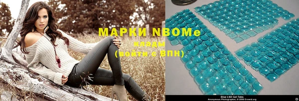 ГАЛЛЮЦИНОГЕННЫЕ ГРИБЫ Инсар