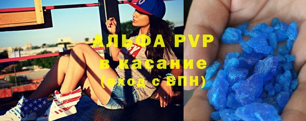 ПСИЛОЦИБИНОВЫЕ ГРИБЫ Инта
