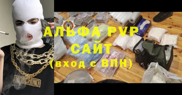 ГАЛЛЮЦИНОГЕННЫЕ ГРИБЫ Иннополис