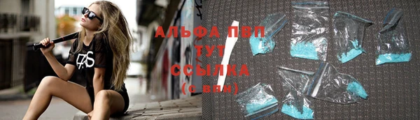 ГАЛЛЮЦИНОГЕННЫЕ ГРИБЫ Иннополис