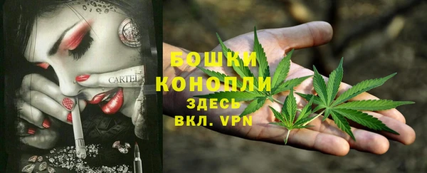 ПСИЛОЦИБИНОВЫЕ ГРИБЫ Инта