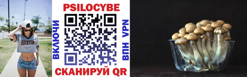 купить закладку  Раменское  Галлюциногенные грибы Cubensis 